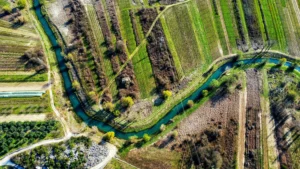 imagen-cenital-de-una-fotogrametria-y-topografia-aerea-con-drones